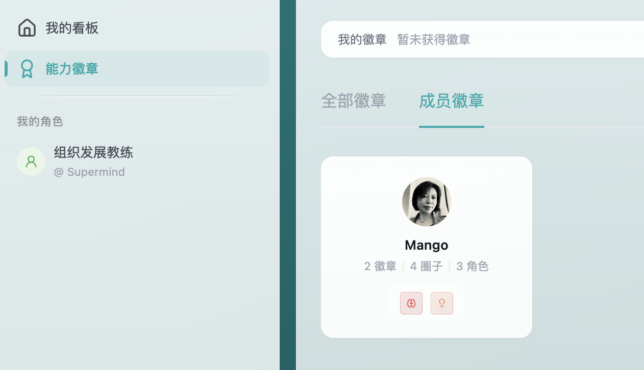 徽章广场 - 成员徽章标签页